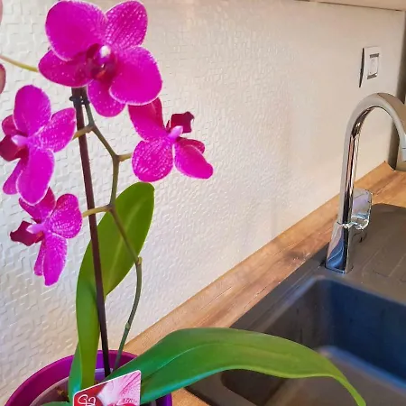 Lima Deluxe Kostrena