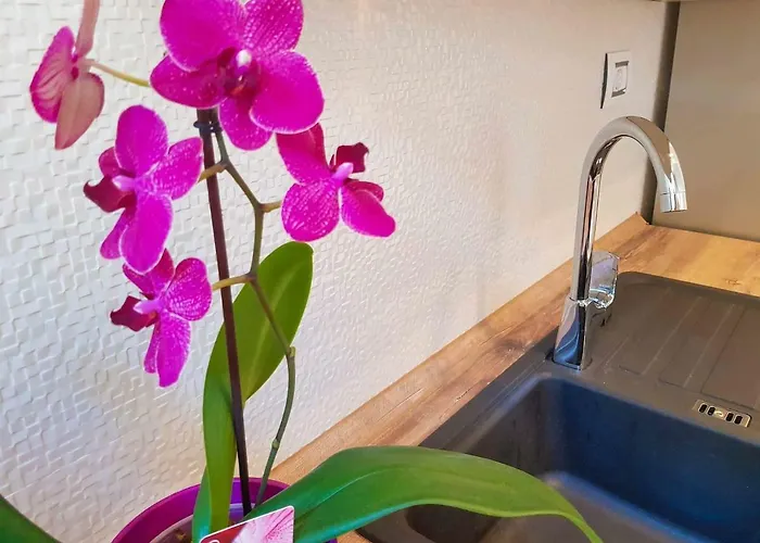 Lima Deluxe Kostrena